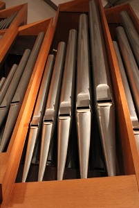 Schuke-Orgel